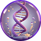 DNA planet